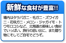 新鮮な食材が豊富